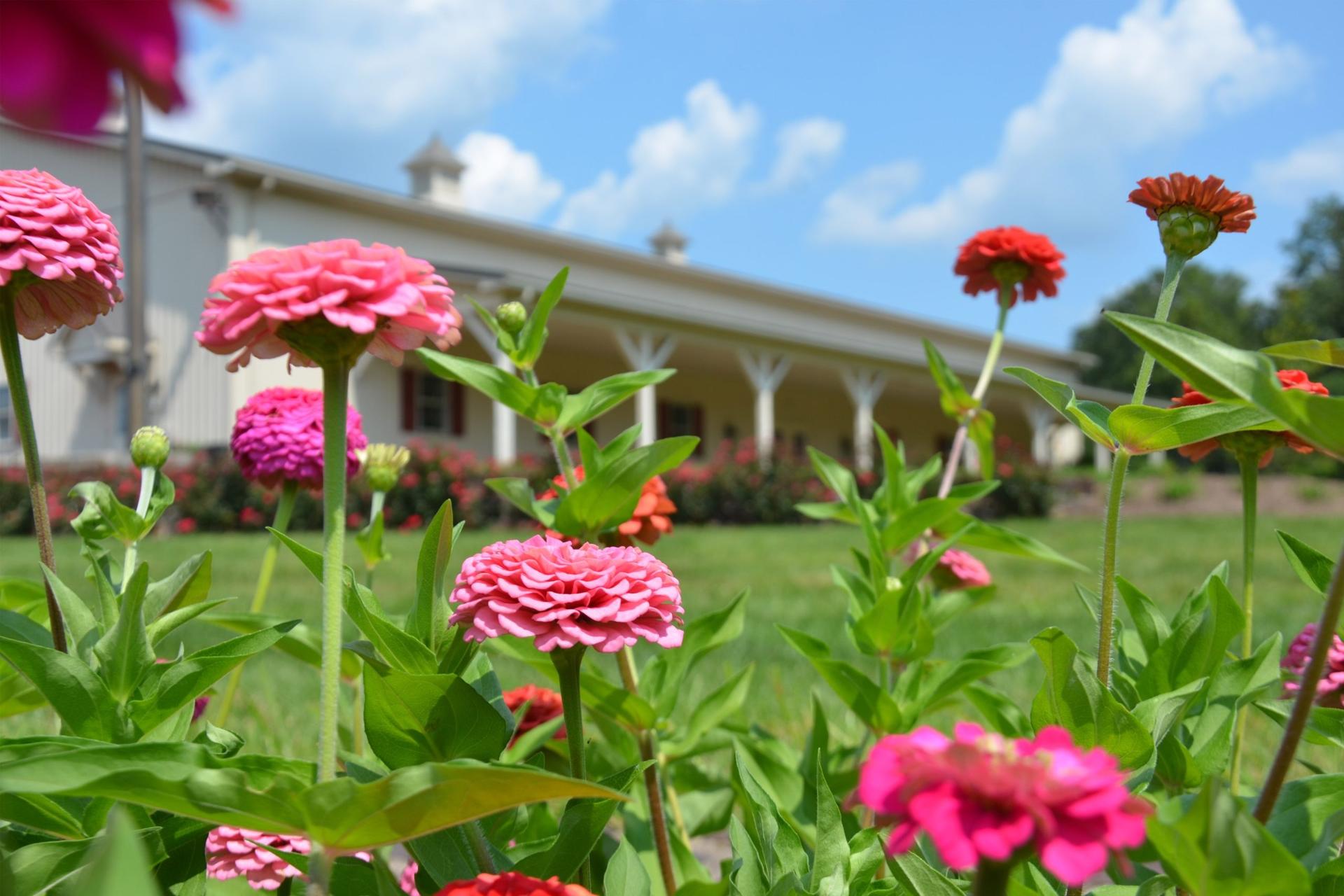The grounds at The Museum at Hoppenville