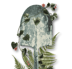 sm-header_shovel shovel and plants