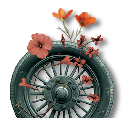 sm-header_tire tire and flowers