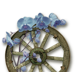 sm-header_wagon-wheel wagon wheel and flowers