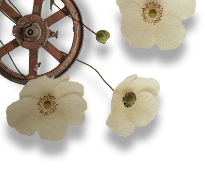 gear and flowers
