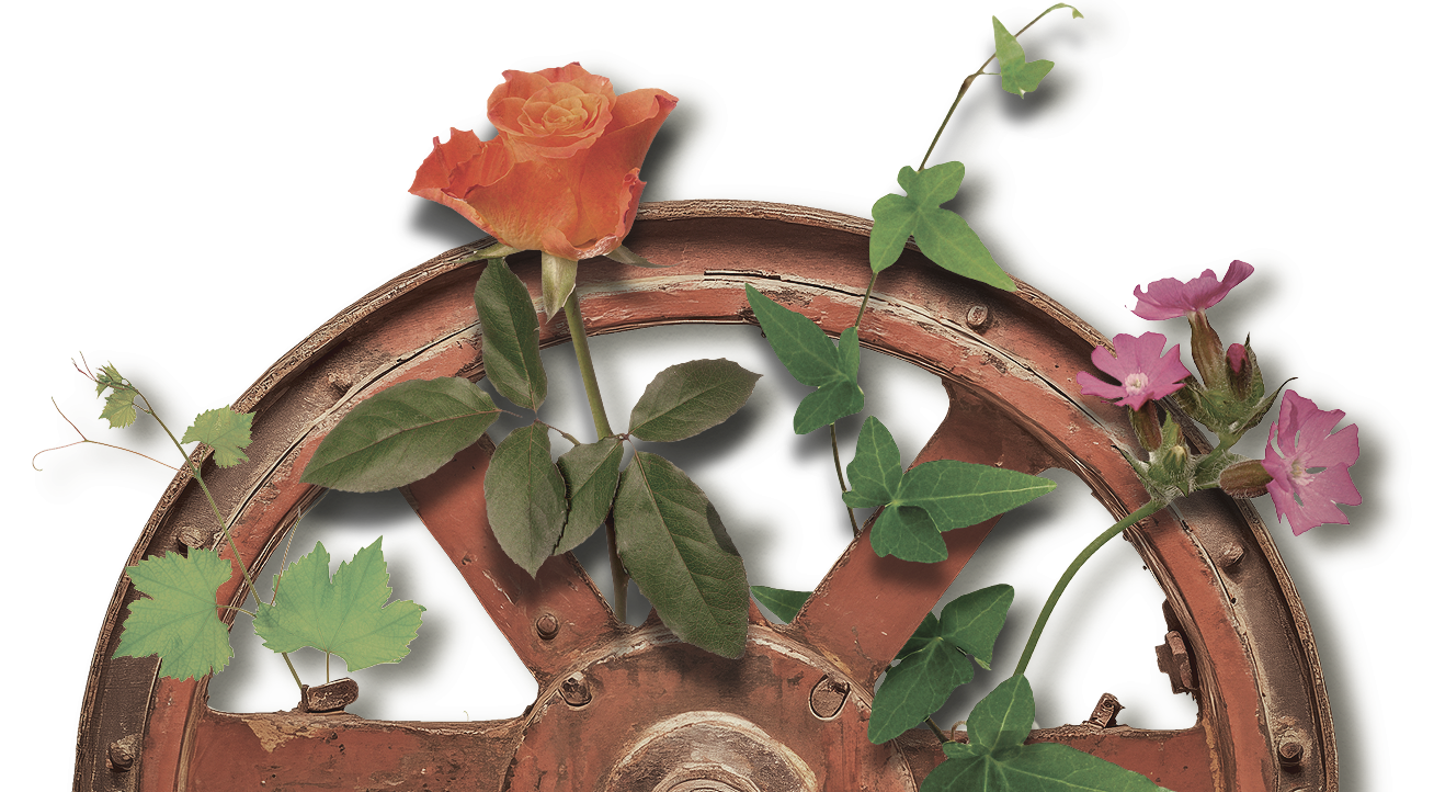 btm_lg_wheel wheel and flowers