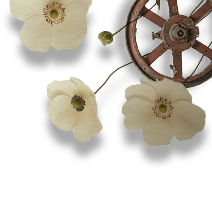 gear and flowers